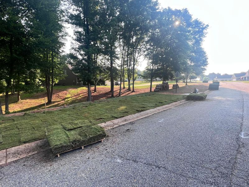 🌱 Sod Installation
