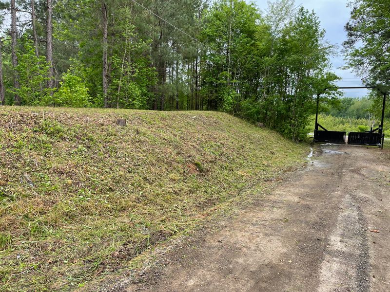 Lawn Maintenance