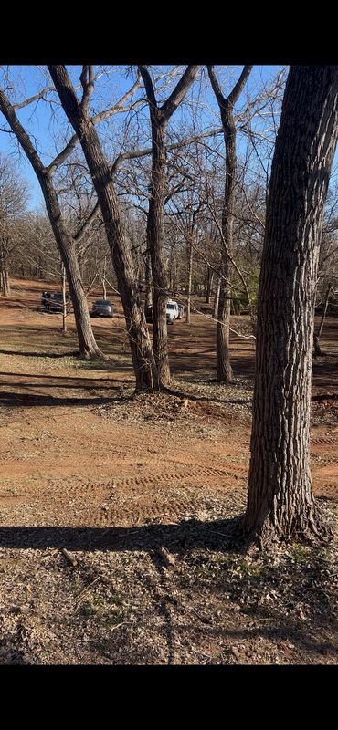 Land Clearing And Preparation