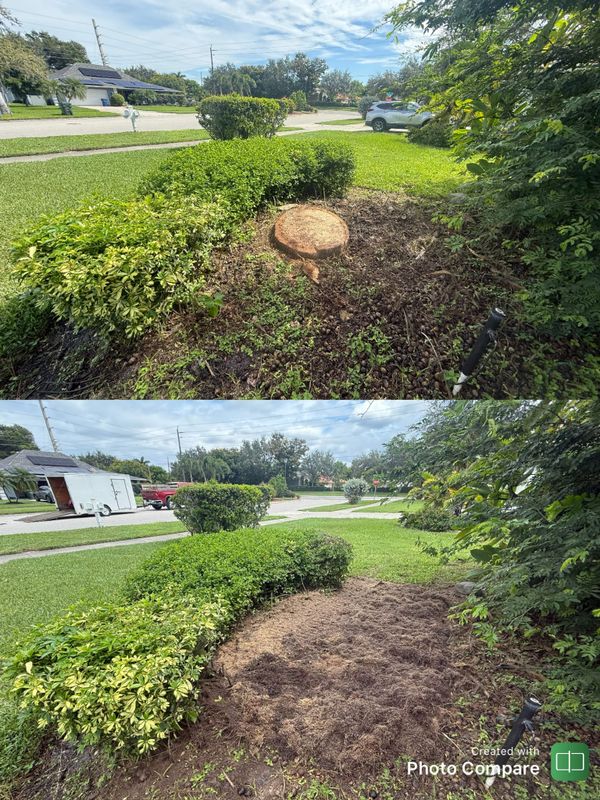 Stump Removal