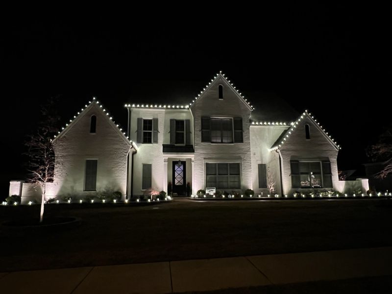 Christmas Light Services