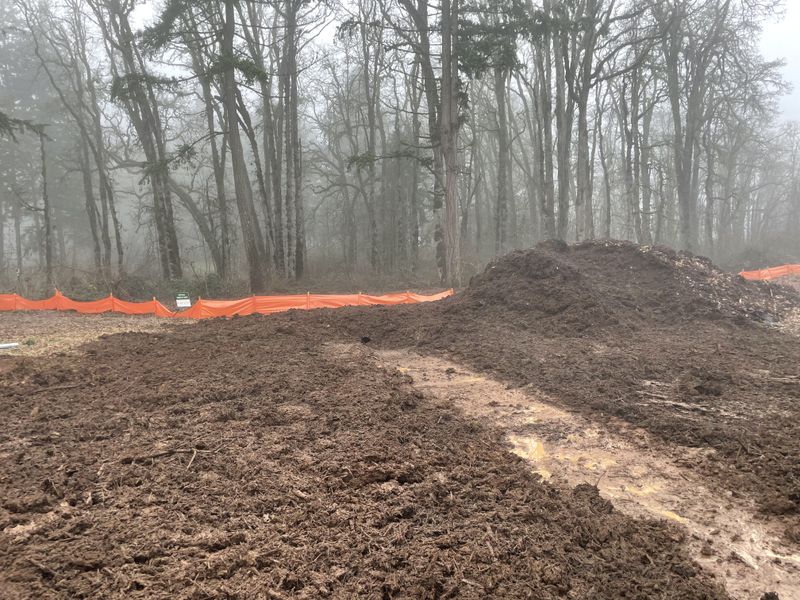 Land Clearing