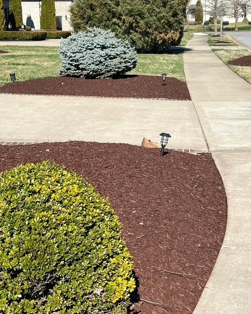 Landscape Lighting