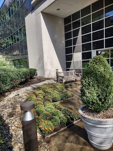 Privacy Plantings