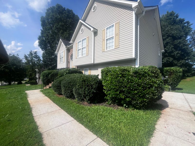 Tree & Shrub Care