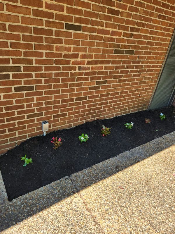 Planting Services