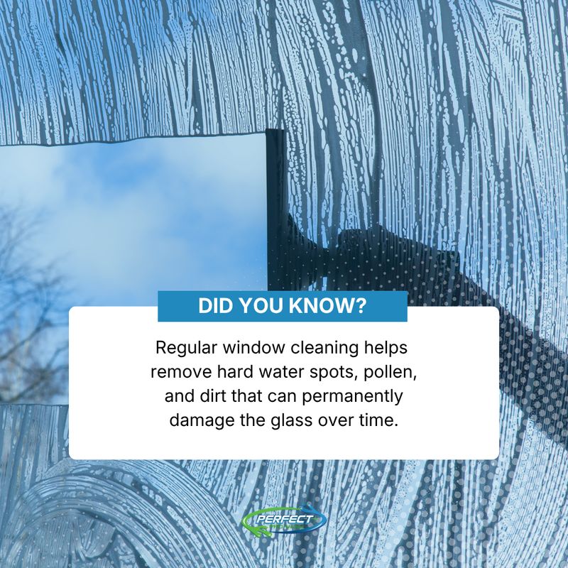Window Cleaning
