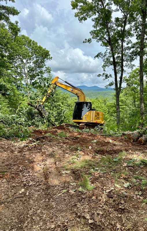 Land Clearing