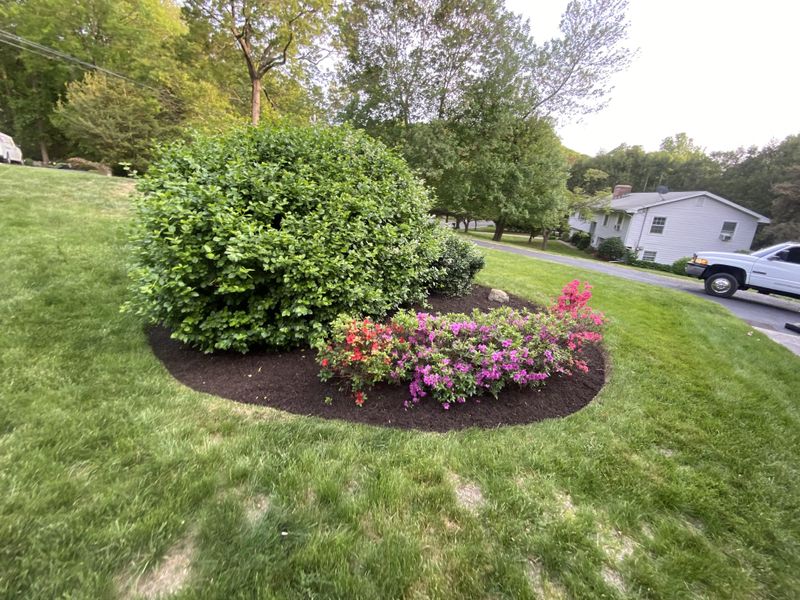Landscape Maintenance gallery