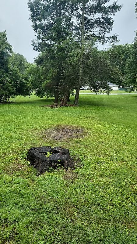Septic Inspections