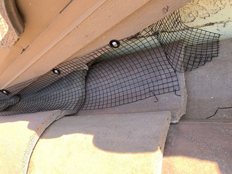 Bird Proofing