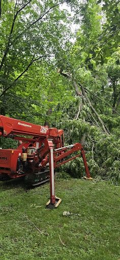 Tree Removal