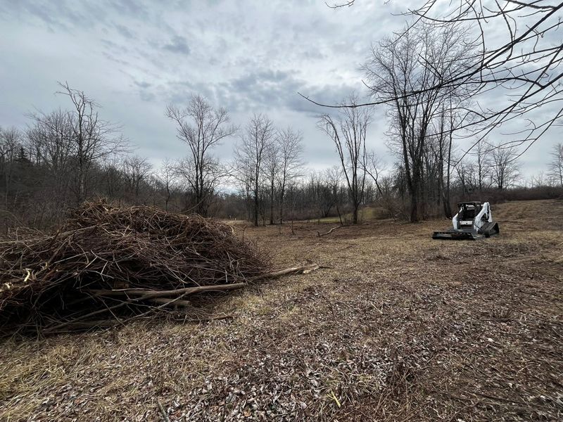 Land Clearing