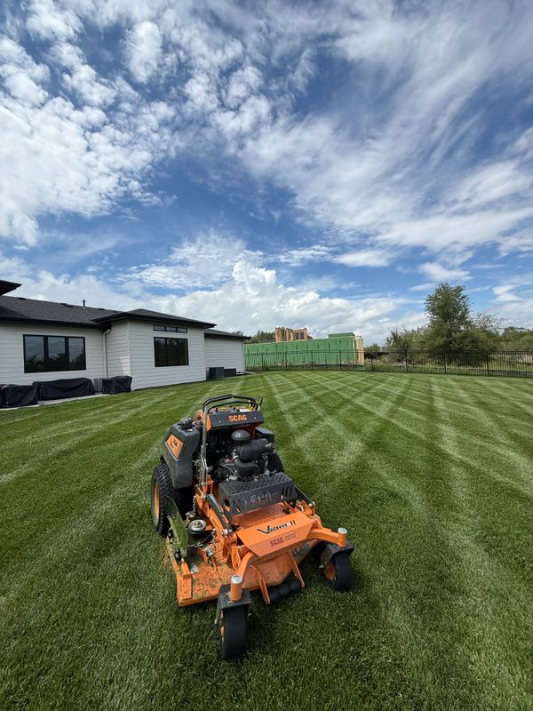 Lawn Maintenance