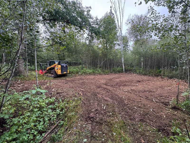 Tree and Vegetation Removal