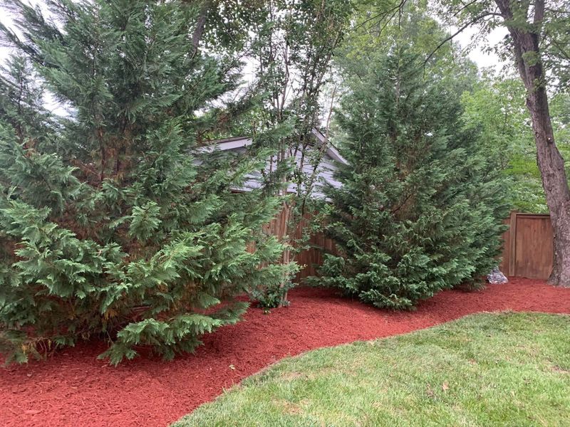 Mulch Installation