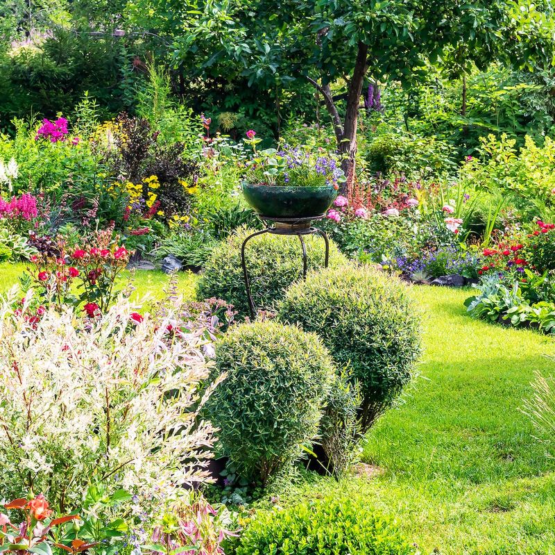 Garden Design and Installation