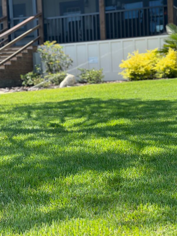 Lawn Care