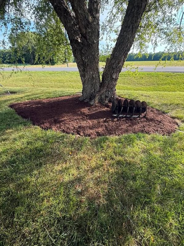 Fall and Spring Clean Up
