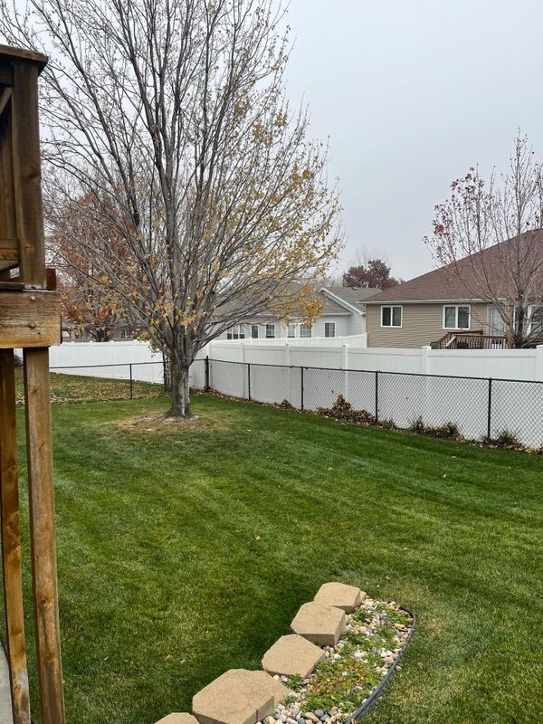Lawn Maintenance