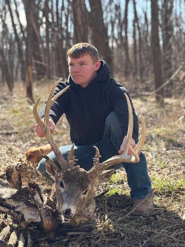 Hunting Land Projects