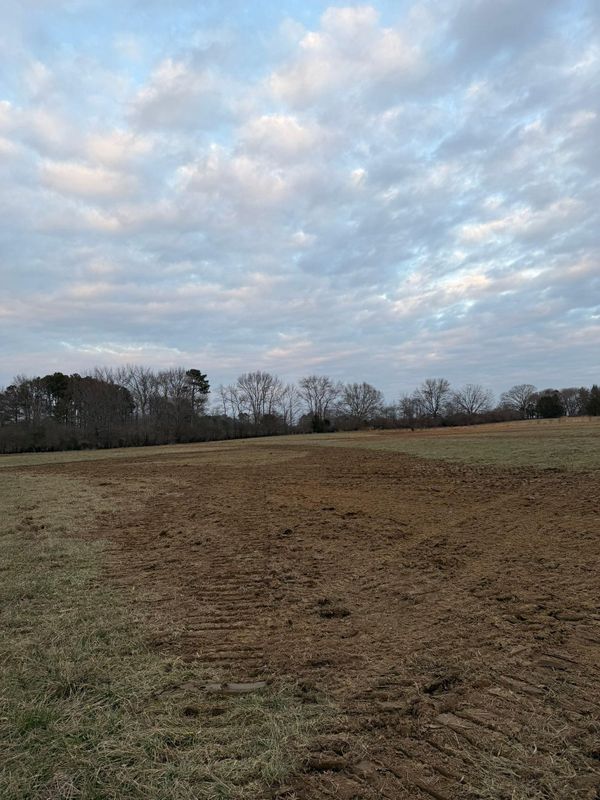 Land Clearing