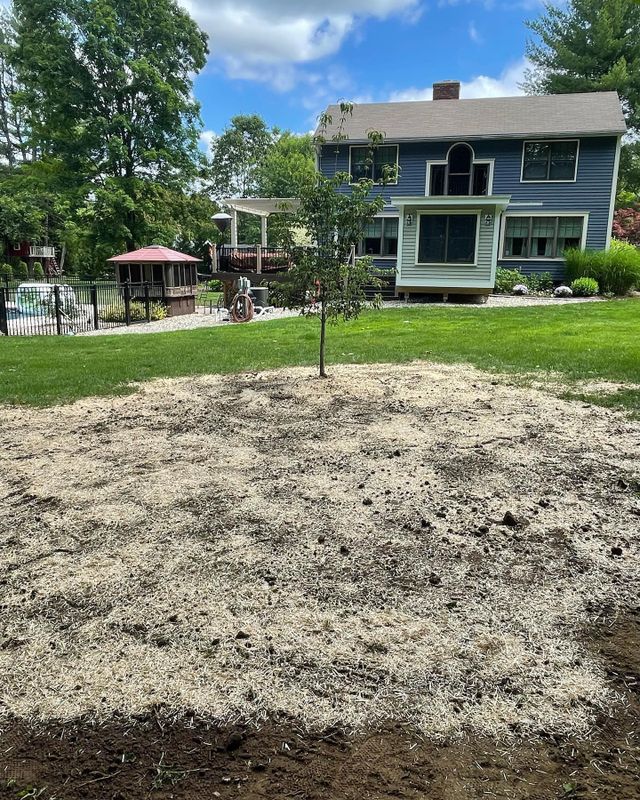 Lawn Care