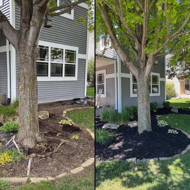 Mulch and Rock Installation gallery