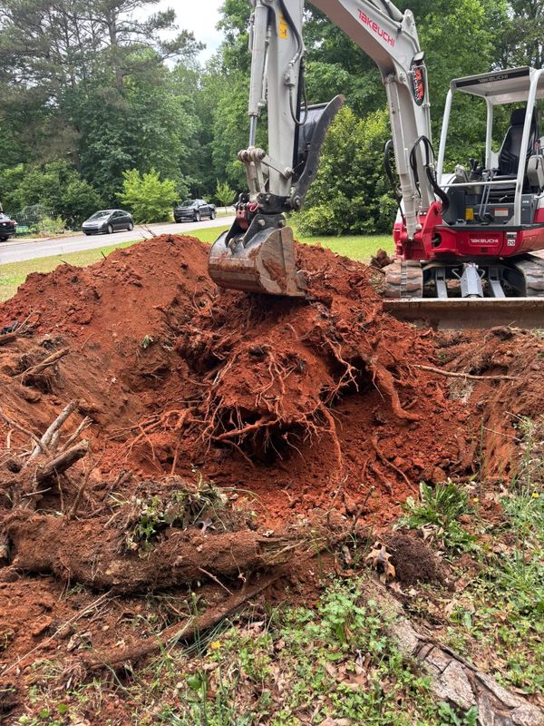 Stump Removal