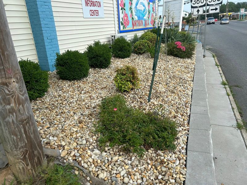 Mulch Installation