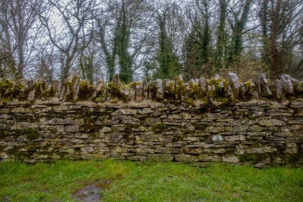Rockfence Removal
