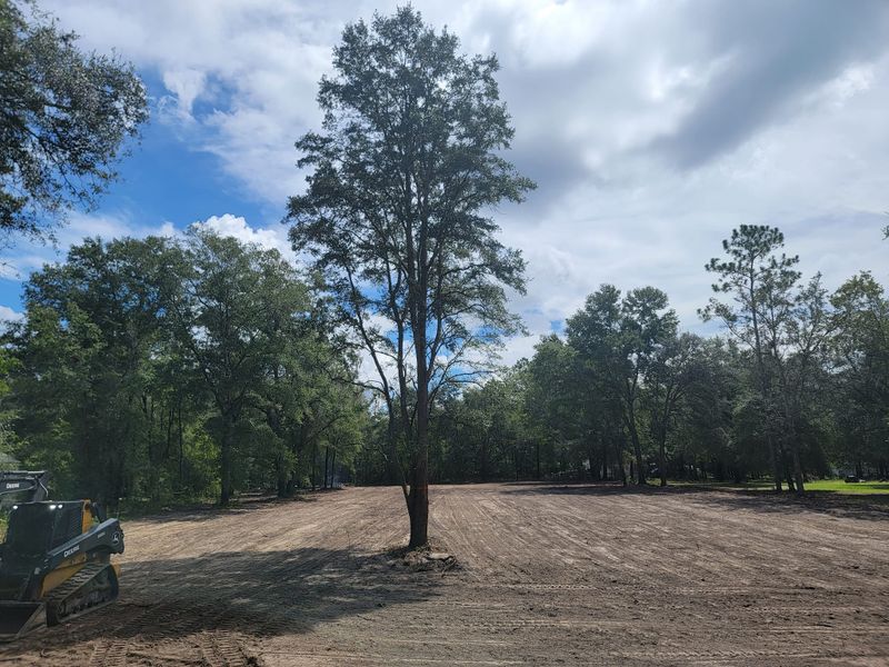Land Clearing gallery