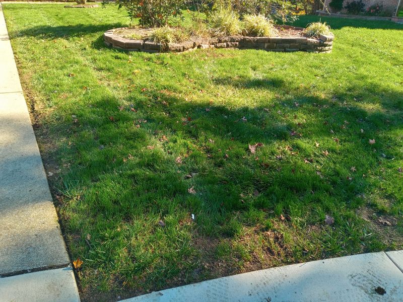 Grass Up