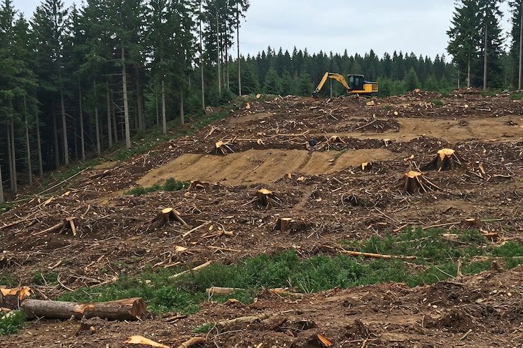 Land Clearing