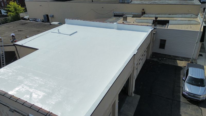Silicon roof coating