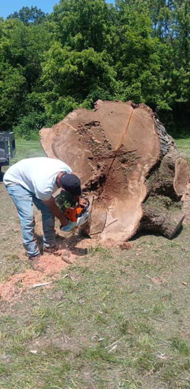 Tree Removal