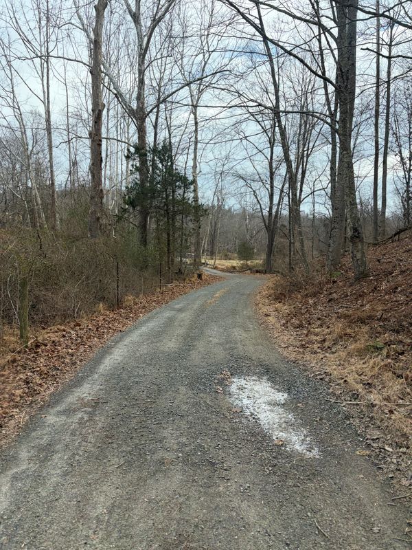 Road Regrading