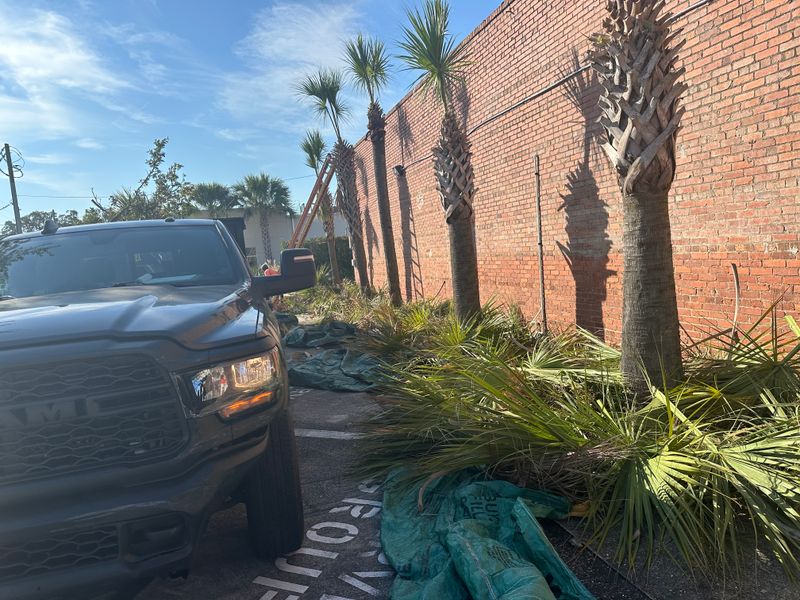 Shrub Trimming
