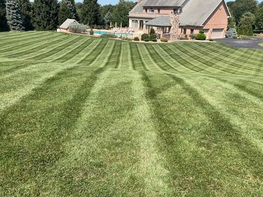 Lawn Mowing