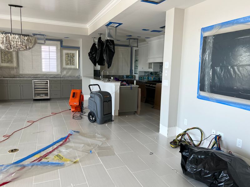 Mold Remediation