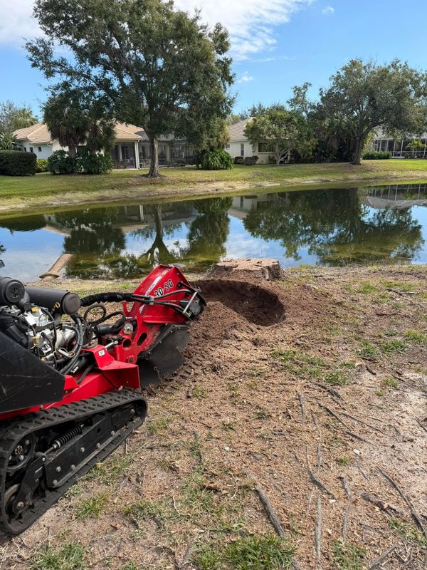 Stump Removal