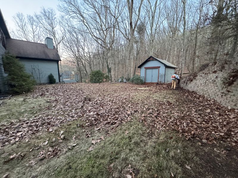 Landscape Cleanups