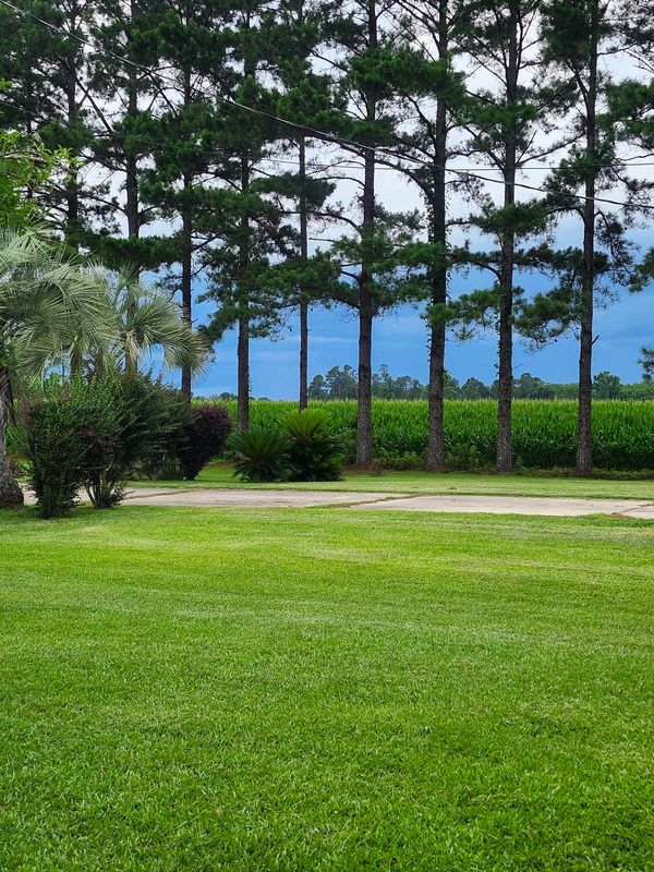 Lawn Maintenance
