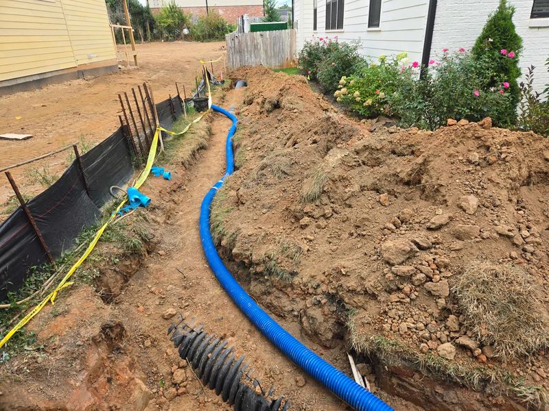 Swale Contruction