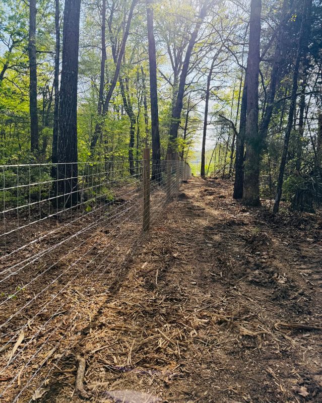 Fences