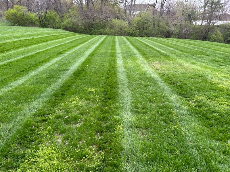 Our Mowing