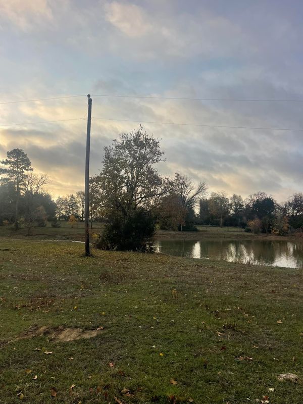 Land Clearing gallery