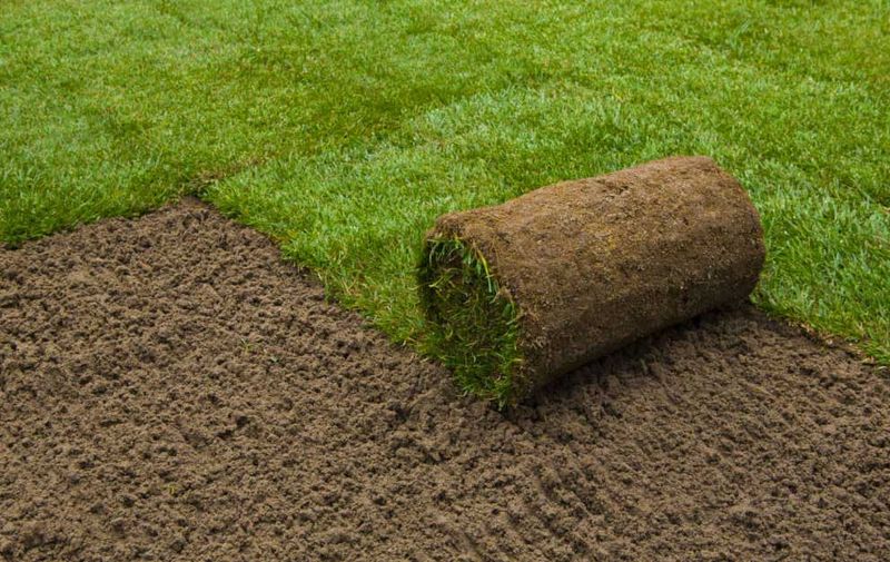 Sod Installation/Lawn Renovation