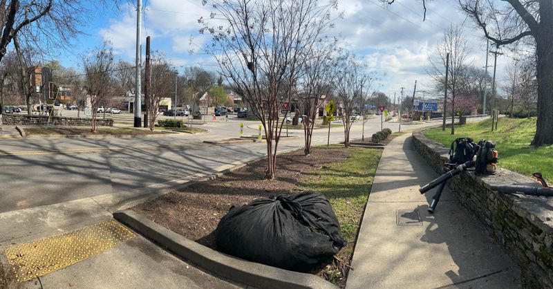 Fall Clean Up