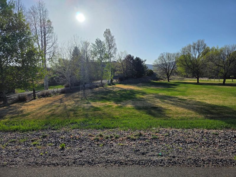 Lawn Aeration